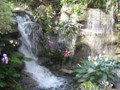 Scenes from the Gaylord Opryland Resort